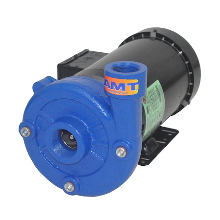 Amt Pump 1.25-in. x 1-in. Cast Iron Electric Straight w/ 1HP 1PH TEFC 5022-95